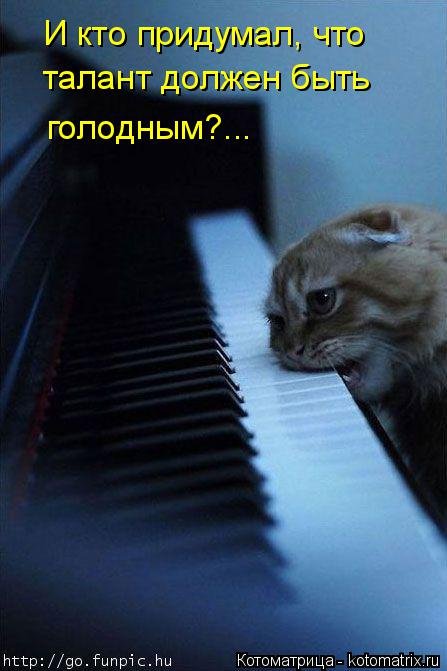 Новая котоматрица (33 шт) Новая котоматрица (33 шт)