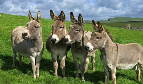 Тое-25 Шутливых и нетрадиционных единиц измерения