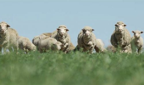 Тое-25 Шутливых и нетрадиционных единиц измерения