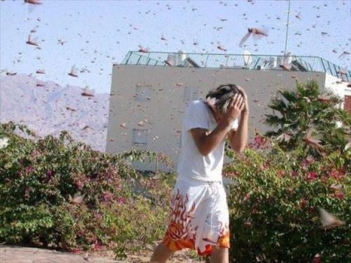 Что такое невезение (20 фото)