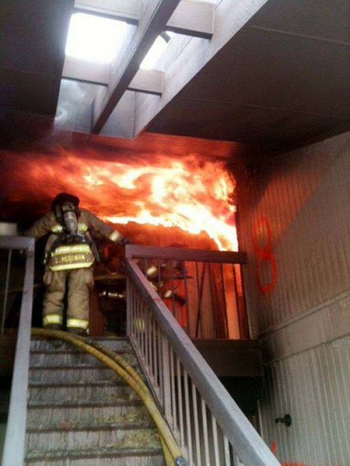 Пожарные: отважные люди, спасающие людей (24 фото)