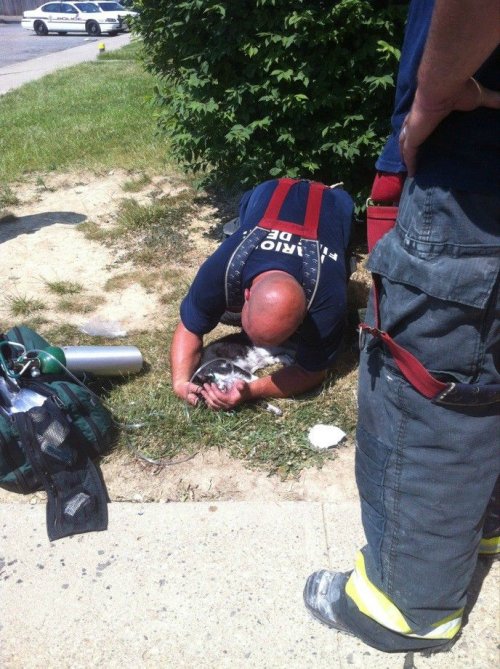 Пожарные: отважные люди, спасающие людей (24 фото)