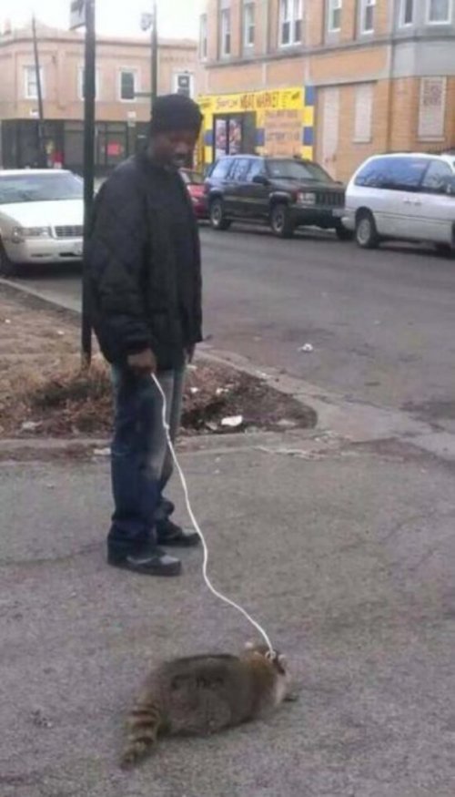 Жертвы собственной моды (25 фото)