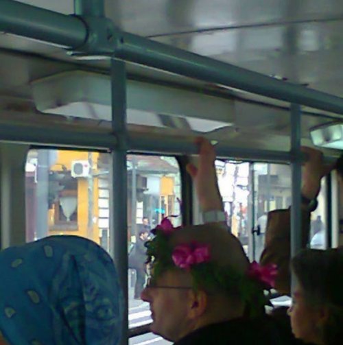 Беспощадный общественный транспорт в Белграде (34 фото)