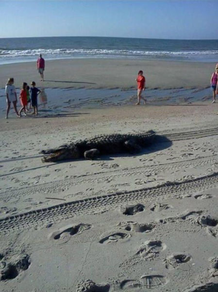 Пятничные фото приколы (38 шт) Пятничные фото приколы (38 шт)