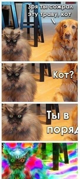 Пятничные фото приколы (38 шт) Пятничные фото приколы (38 шт)