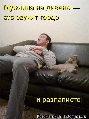 Новая котоматрица (32 шт) Новая котоматрица (32 шт)