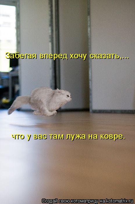 Новая прикольная котоматрица (35 фото) Новая прикольная котоматрица (35 фото)