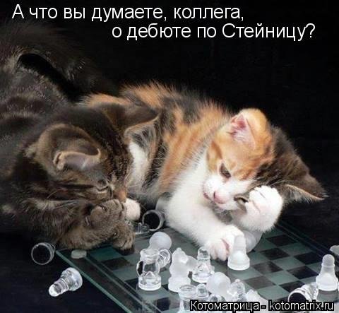 Новая прикольная котоматрица (35 фото) Новая прикольная котоматрица (35 фото)