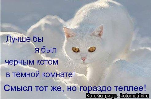 Новая прикольная котоматрица (35 фото) Новая прикольная котоматрица (35 фото)