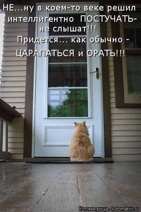 Лучшая котоматрица недели (32 фото) Лучшая котоматрица недели (32 фото)