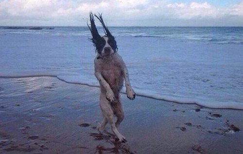 Забавные стоп-кадры (16 шт)