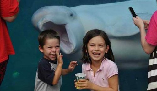 Забавные стоп-кадры (16 шт)