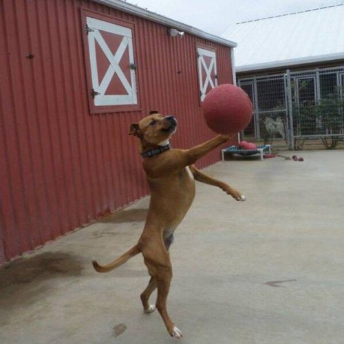 Забавные стоп-кадры (16 шт)