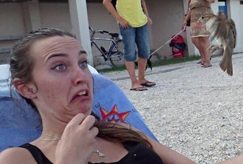 Забавные стоп-кадры (16 шт)