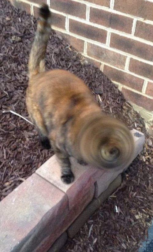 Забавные стоп-кадры (16 шт)