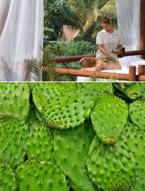 10 Самых странных видов массажа