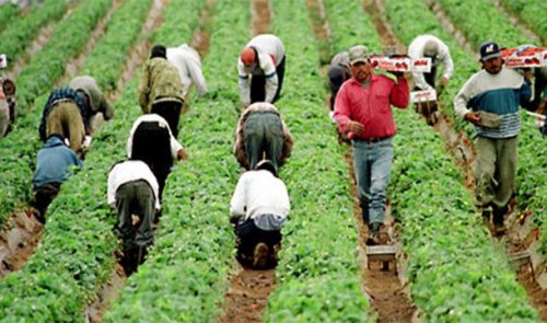 Топ-25 Невероятно мрачных фактов о торговле людьми