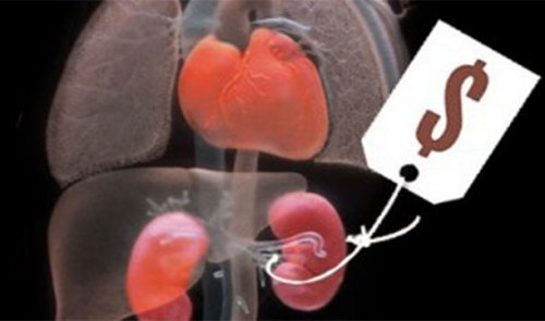 Топ-25 Невероятно мрачных фактов о торговле людьми