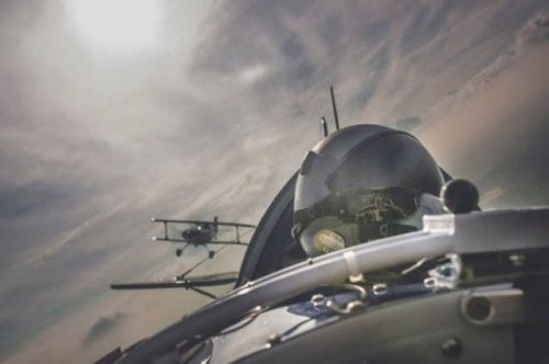 Свежий сборник фотобомб (20 шт)