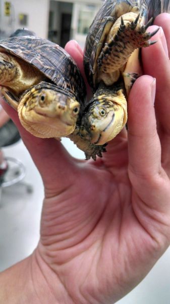 Смотреть прикольные картинки (37 шт) Смотреть прикольные картинки (37 шт)