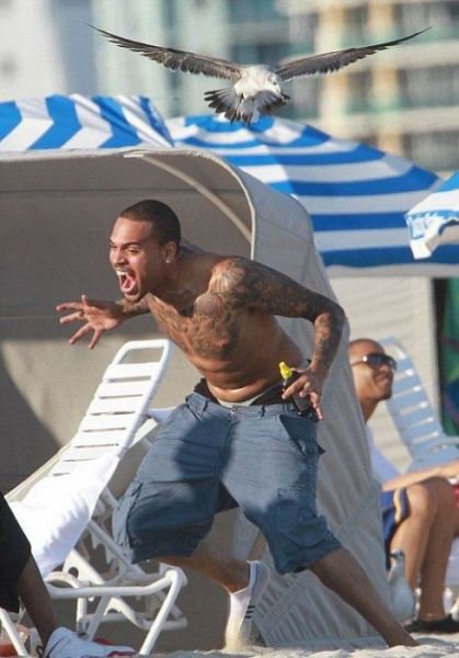 Пляжные будни в прикольных картинках (19 шт) Пляжные будни в прикольных картинках (19 шт)