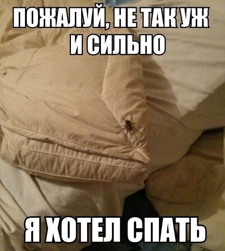 Забавные фотомемы (20 фото) Забавные фотомемы (20 фото)