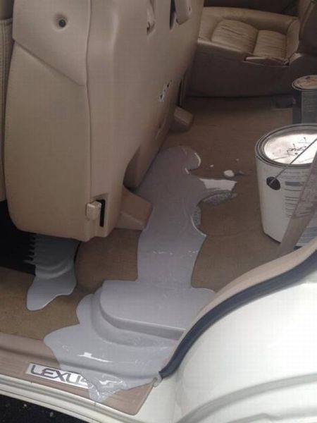 Прикольные картинки (41 шт)