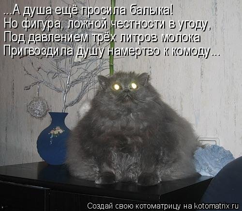 Новая котоматрица (35 фото) Новая котоматрица (35 фото)