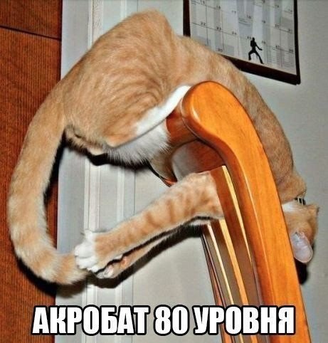 Прикольных картинок много не бывает (33 шт) Прикольных картинок много не бывает (33 шт)