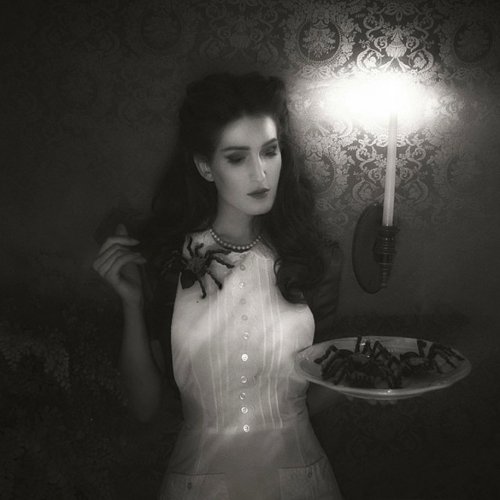 Кондитерские монстры Кристины Макконелл (13 фото)