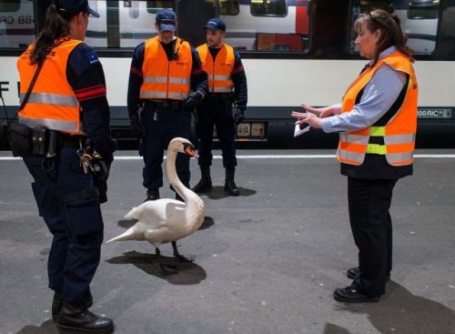 Смотреть прикольные картинки (37 шт)
