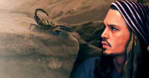 Странные коллекции богатых и знаменитых (9 фото)