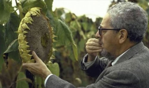 Топ-25 Самых странных причин смерти одних из самых неудачливых людей в истории