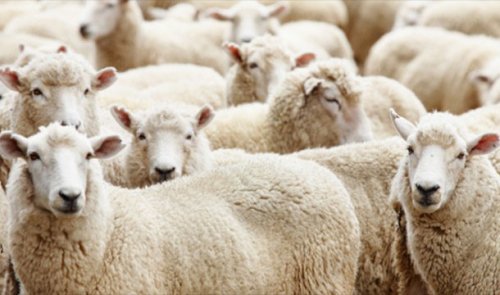 Топ-25 Самых странных причин смерти одних из самых неудачливых людей в истории