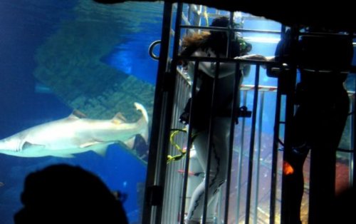 Топ-13 Самых странных и необычных свадебных оформлений