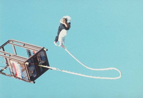 Топ-13 Самых странных и необычных свадебных оформлений