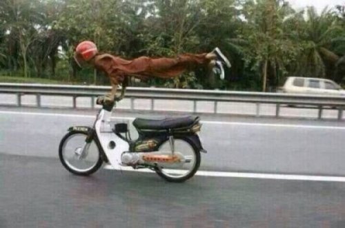 Таланты и способности (19 фото)