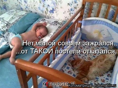 Новая котоматрица (34 фото) Новая котоматрица (34 фото)