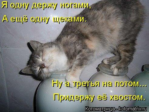 Новая котоматрица (34 фото) Новая котоматрица (34 фото)