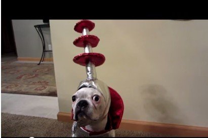 Эти забавные сучки и кабели :)