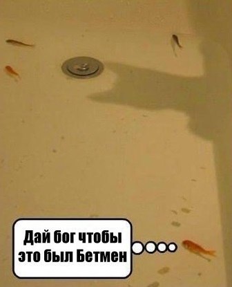 Классные картинки и фото приколы (45 шт) Классные картинки и фото приколы (45 шт)