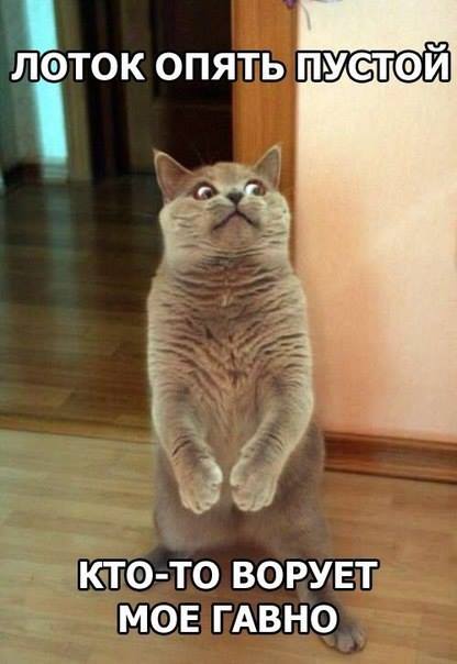 Классные картинки и фото приколы (45 шт) Классные картинки и фото приколы (45 шт)