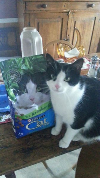 Забавные совпадения (21 фото) Забавные совпадения (21 фото)