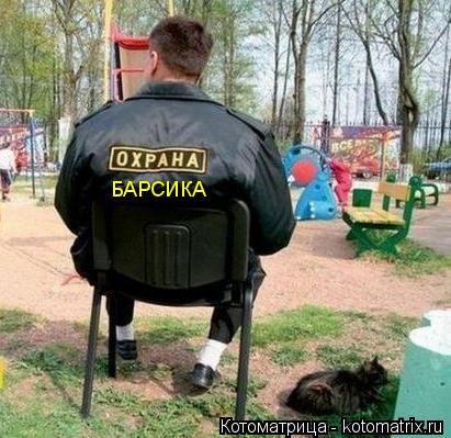 Новая котоматрица (36 шт) Новая котоматрица (36 шт)