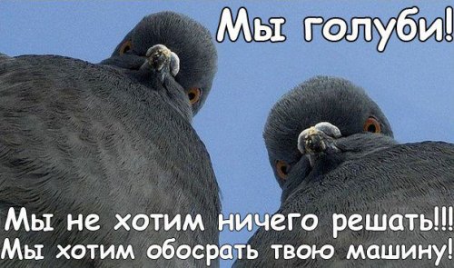 Фотоприколы на автотематику (22 фото)