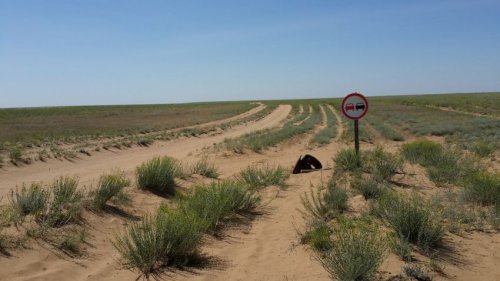 Фотоприколы на автотематику (22 фото)