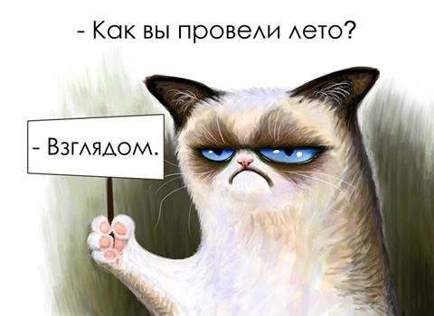 http://www.bugaga.ru/uploads/posts/2014-09/1409569360_kartinki-2.jpg