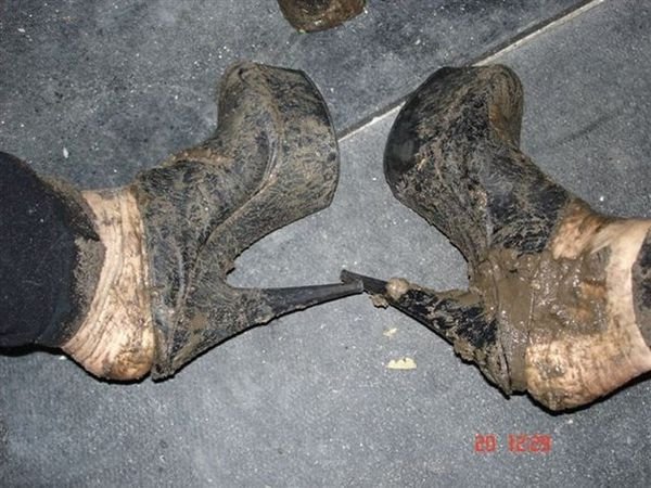 Image result for глубинка росси фото