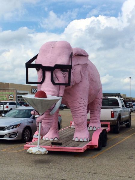 Классные картинки и фото приколы для вас! (44 шт) Классные картинки и фото приколы для вас! (44 шт)